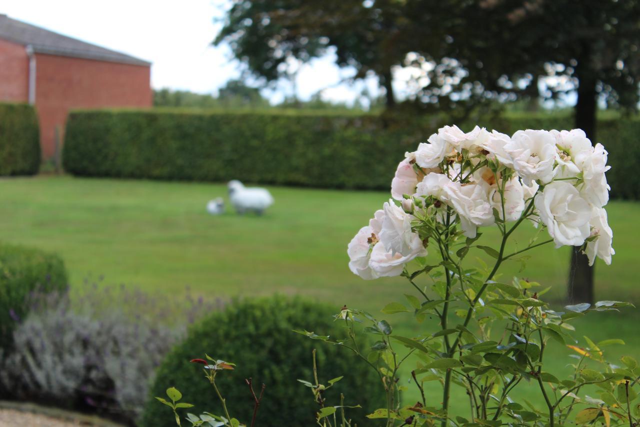 Mille Etoiles Bed and Breakfast Moorsel Buitenkant foto